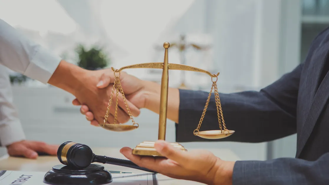 A lawyer is a professional who provides legal advice, represents clients in court,